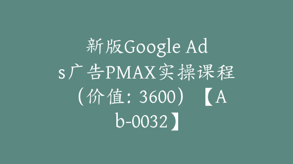 新版Google Ads广告PMAX实操课程（价值：3600）【Ab-0032】