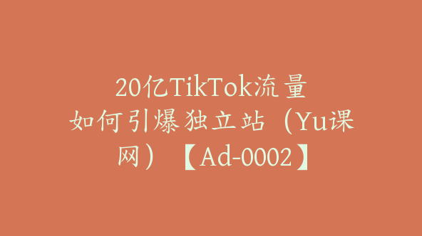 20亿TikTok流量如何引爆独立站（Yu课网）【Ad-0002】