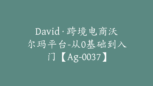 David·跨境电商沃尔玛平台-从0基础到入门【Ag-0037】