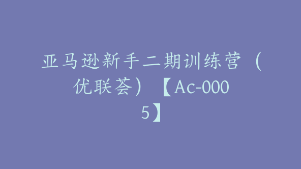 亚马逊新手二期训练营（优联荟）【Ac-0005】