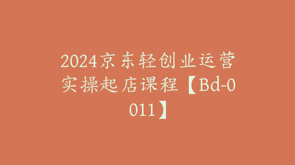 2024京东轻创业运营实操起店课程【Bd-0011】