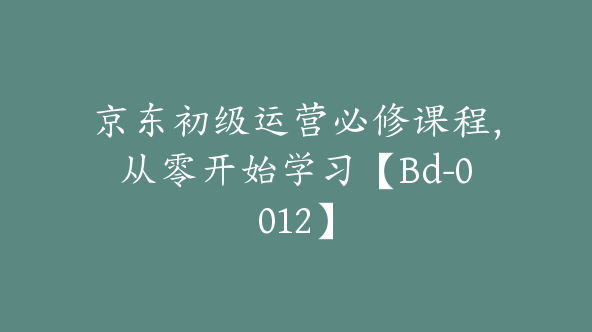 京东初级运营必修课程，从零开始学习【Bd-0012】