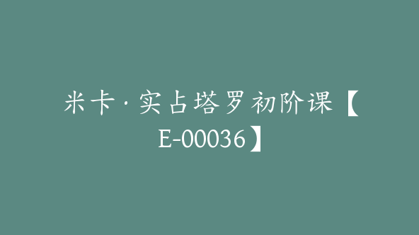 米卡·实占塔罗初阶课【E-00036】