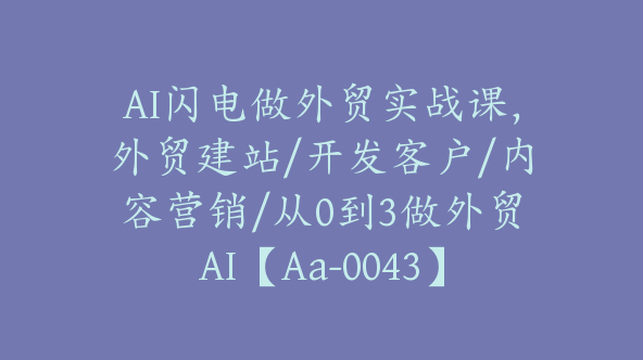 AI闪电做外贸实战课，外贸建站/开发客户/内容营销/从0到3做外贸AI【Aa-0043】