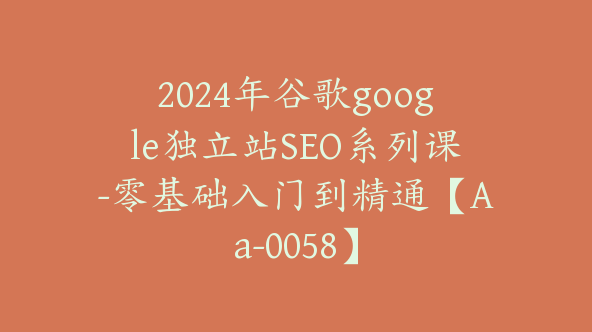 2024年谷歌google独立站SEO系列课-零基础入门到精通【Aa-0058】