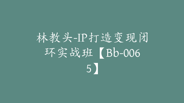 林教头-IP打造变现闭环实战班【Bb-0065】