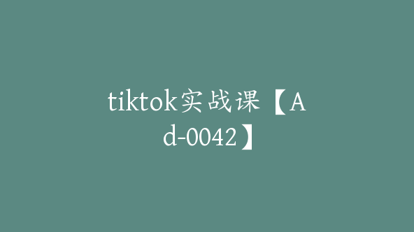 tiktok实战课【Ad-0042】