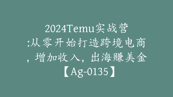 2024Temu实战营:从零开始打造跨境电商，增加收入，出海赚美金【Ag-0135】