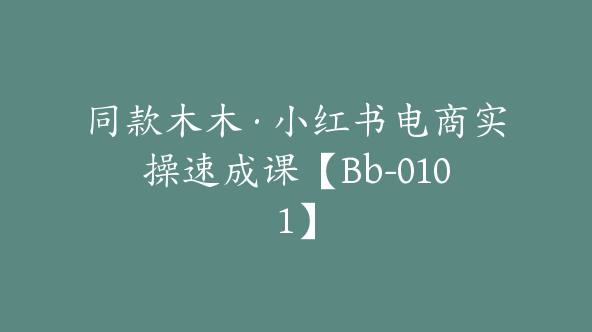 同款木木·小红书电商实操速成课【Bb-0101】