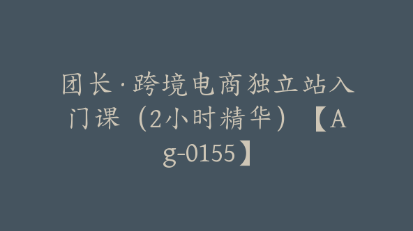 团长·跨境电商独立站入门课（2小时精华）【Ag-0155】