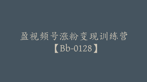 盈视频号涨粉变现训练营【Bb-0128】