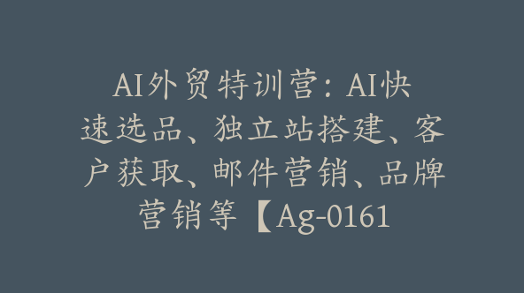 AI外贸特训营：AI快速选品、独立站搭建、客户获取、邮件营销、品牌营销等【Ag-0161】