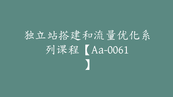 独立站搭建和流量优化系列课程【Aa-0061】