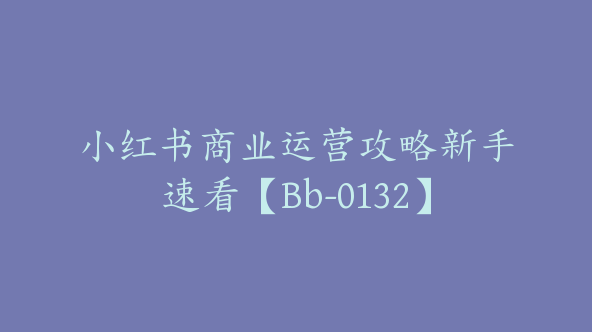 小红书商业运营攻略新手速看【Bb-0132】