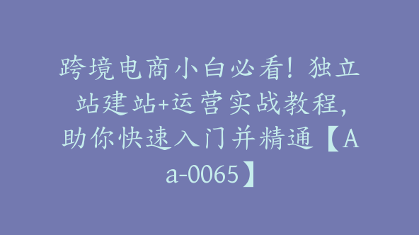 跨境电商小白必看！独立站建站+运营实战教程，助你快速入门并精通【Aa-0065】