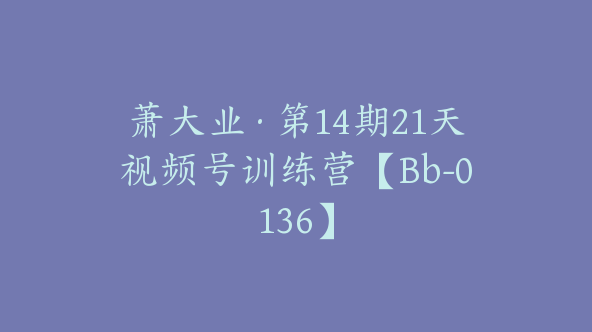 萧大业·第14期21天视频号训练营【Bb-0136】